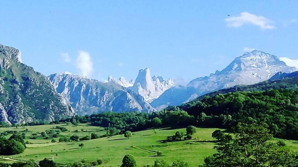 Hotel Arenas De Cabrales- Apartamentos 외부 사진
